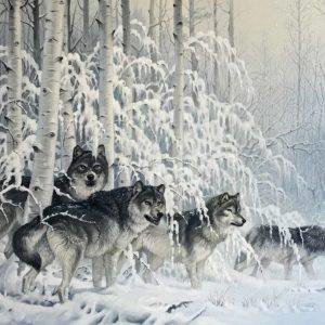 Wolf Pack