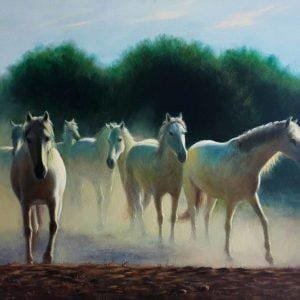 Horses Of The Czar