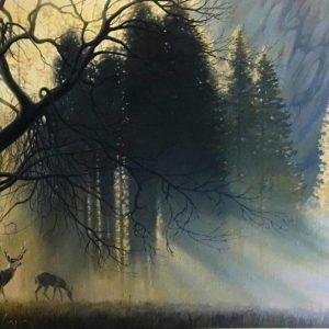 Morning Fog